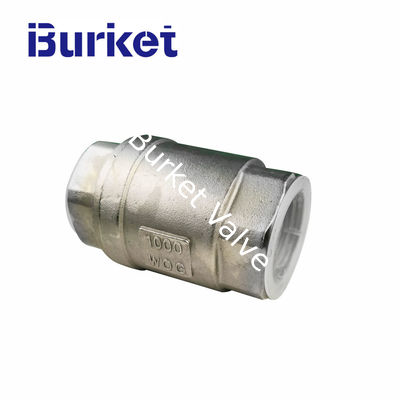 H12W16 China Direct Factory Supply Good Quality Stainless Steel Vertical Spring Threaded Check Valve pemasok
